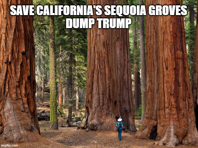 "I don't think science knows about climate" - Donald J. Trump | SAVE CALIFORNIA'S SEQUOIA GROVES
DUMP TRUMP | image tagged in dump trump,donald trump you're fired,wildfires,giant sequoias,forest,climate change | made w/ Imgflip meme maker