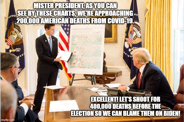 2020 campaign strategy | MISTER PRESIDENT, AS YOU CAN SEE BY THESE CHARTS, WE'RE APPROACHING 200,000 AMERICAN DEATHS FROM COVID-19. EXCELLENT! LET'S SHOOT FOR 400,000 DEATHS BEFORE THE ELECTION SO WE CAN BLAME THEM ON BIDEN! | image tagged in donald trump clown | made w/ Imgflip meme maker