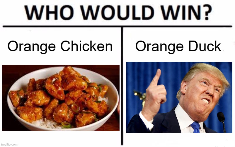 Really.....they're both Orange Chickens.   | Orange Chicken; Orange Duck | image tagged in memes,who would win,orange chicken,trump | made w/ Imgflip meme maker