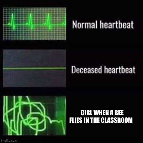 Littarly the truth | GIRL WHEN A BEE FLIES IN THE CLASSROOM | image tagged in heartbeat rate | made w/ Imgflip meme maker