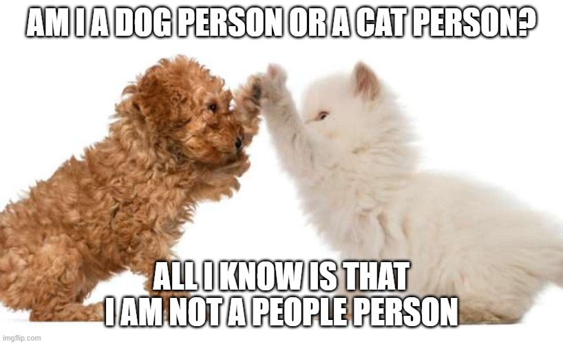 cat & dog | AM I A DOG PERSON OR A CAT PERSON? ALL I KNOW IS THAT I AM NOT A PEOPLE PERSON | image tagged in cat dog,cat person,dog person | made w/ Imgflip meme maker