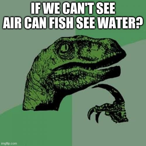 Philosoraptor | IF WE CAN'T SEE AIR CAN FISH SEE WATER? | image tagged in memes,philosoraptor | made w/ Imgflip meme maker