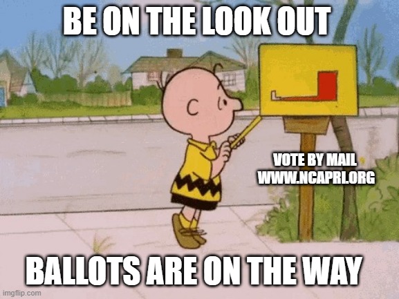 Charlie Brown Mailbox | BE ON THE LOOK OUT; VOTE BY MAIL 
WWW.NCAPRI.ORG; BALLOTS ARE ON THE WAY | image tagged in charlie brown mailbox | made w/ Imgflip meme maker