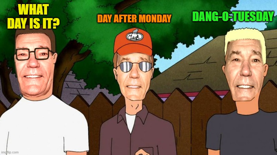 tuesday | DANG-O-TUESDAY; DAY AFTER MONDAY; WHAT DAY IS IT? | image tagged in lew of the hill,tuesday | made w/ Imgflip meme maker