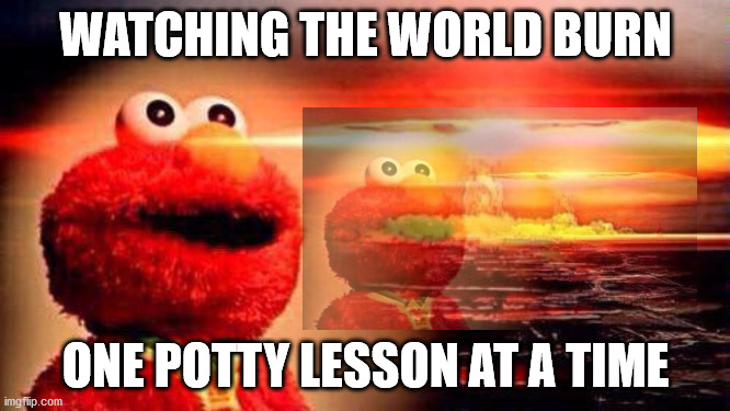 WATCHING THE WORLD BURN; ONE POTTY LESSON AT A TIME | image tagged in boom,elmo nuclear explosion,nuke | made w/ Imgflip meme maker