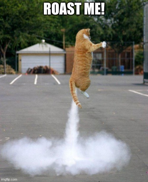 Wow. | ROAST ME! | image tagged in rocket cat | made w/ Imgflip meme maker