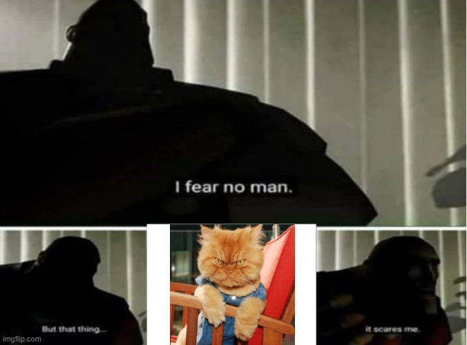 I fear no man | image tagged in i fear no man,garfi the angry cat | made w/ Imgflip meme maker
