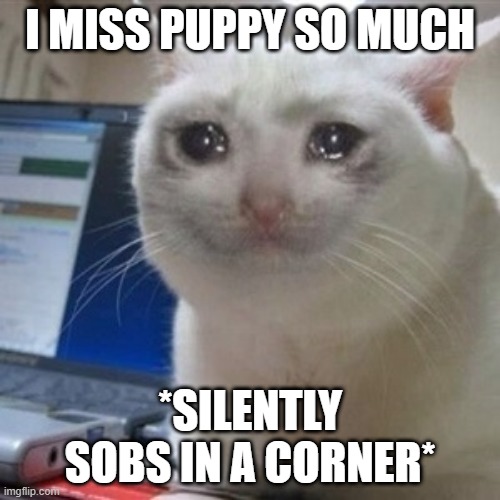i dont know what to do anymore... | I MISS PUPPY SO MUCH; *SILENTLY SOBS IN A CORNER* | image tagged in depression sadness hurt pain anxiety,sad,missing,i love you,puppy | made w/ Imgflip meme maker