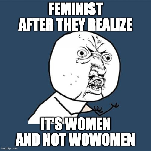 Y U No | FEMINIST AFTER THEY REALIZE; IT'S WOMEN AND NOT WOWOMEN | image tagged in memes,y u no | made w/ Imgflip meme maker