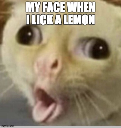 Lemon always wins | MY FACE WHEN I LICK A LEMON | image tagged in cats,cursed image,lemon | made w/ Imgflip meme maker