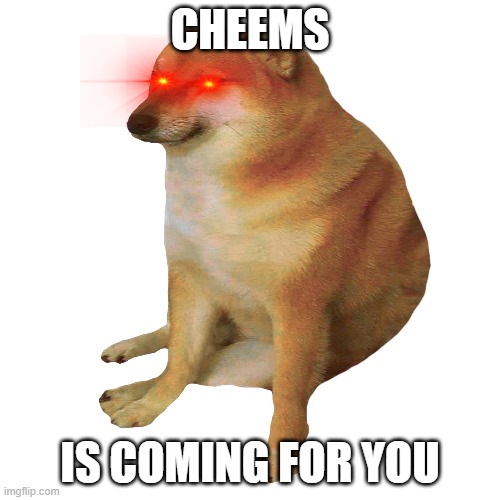 Cheems the murderer (without sword) | CHEEMS; IS COMING FOR YOU | image tagged in cheems | made w/ Imgflip meme maker