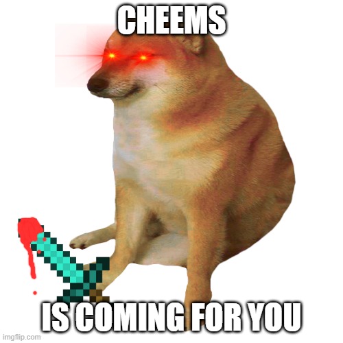Cheems the murderer | CHEEMS; IS COMING FOR YOU | image tagged in cheems | made w/ Imgflip meme maker