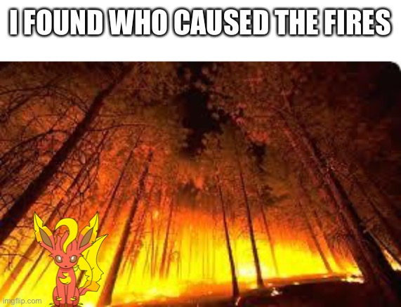 No, it wasn’t the gender reveal party that did it | I FOUND WHO CAUSED THE FIRES | image tagged in forest fire | made w/ Imgflip meme maker