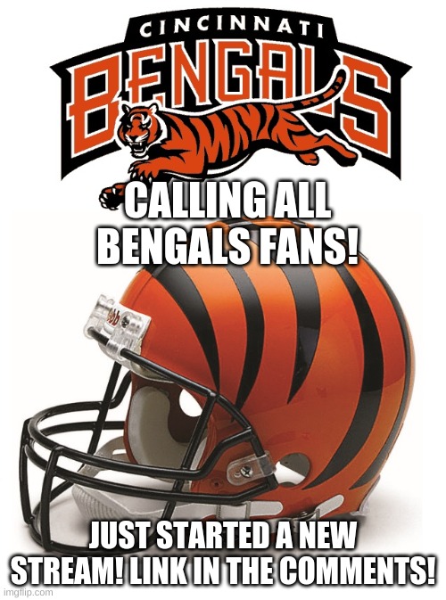For all Bengals fans, other teams are allowed just be constructive and respectful. | CALLING ALL BENGALS FANS! JUST STARTED A NEW STREAM! LINK IN THE COMMENTS! | image tagged in bengals | made w/ Imgflip meme maker