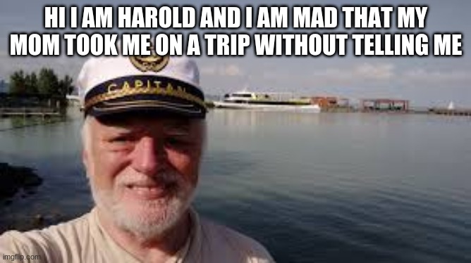 2020HTPH | HI I AM HAROLD AND I AM MAD THAT MY MOM TOOK ME ON A TRIP WITHOUT TELLING ME | image tagged in 2020htph | made w/ Imgflip meme maker