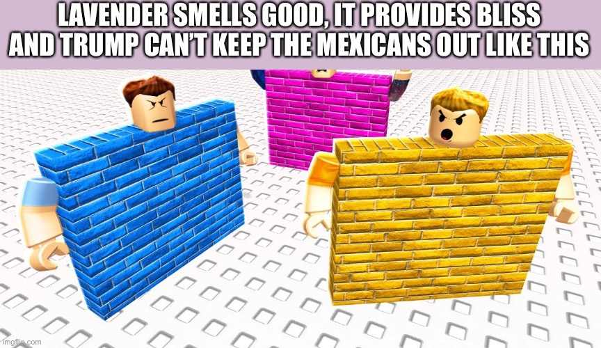This is so true | LAVENDER SMELLS GOOD, IT PROVIDES BLISS
AND TRUMP CAN’T KEEP THE MEXICANS OUT LIKE THIS | image tagged in wall,trump wall,imagration | made w/ Imgflip meme maker