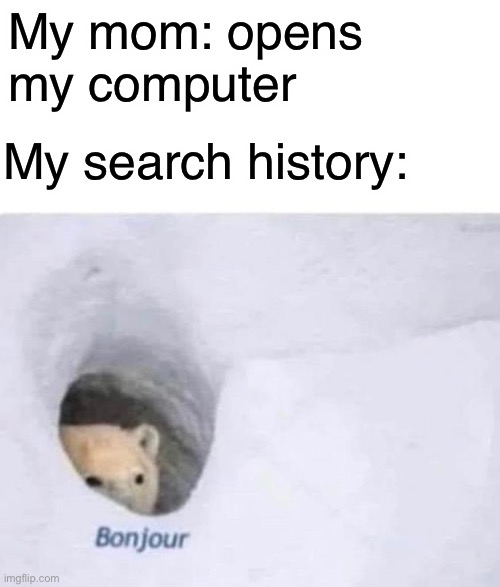 Bonjour | My mom: opens my computer; My search history: | image tagged in bonjour,search history,computer,mom | made w/ Imgflip meme maker