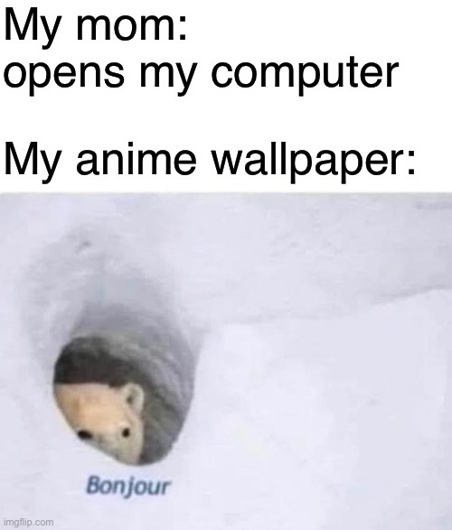 Bonjour | My mom: opens my computer; My anime wallpaper: | image tagged in bonjour,computer,anime,mom | made w/ Imgflip meme maker