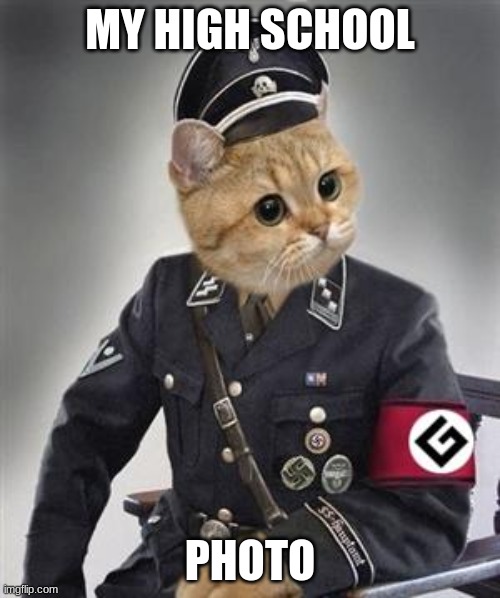 Grammar Nazi Cat | MY HIGH SCHOOL; PHOTO | image tagged in grammar nazi cat | made w/ Imgflip meme maker