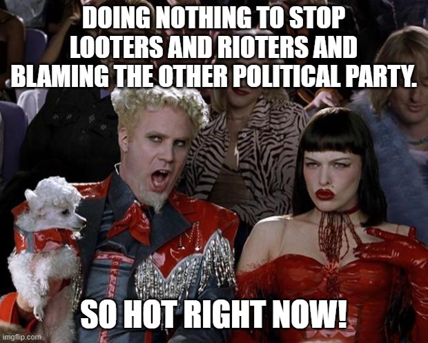 No one is stopping them.  NO ONE. | DOING NOTHING TO STOP LOOTERS AND RIOTERS AND BLAMING THE OTHER POLITICAL PARTY. SO HOT RIGHT NOW! | image tagged in memes,mugatu so hot right now | made w/ Imgflip meme maker