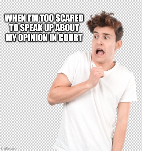 Scared to talk in court | WHEN I’M TOO SCARED TO SPEAK UP ABOUT MY OPINION IN COURT | image tagged in court,scared to talk | made w/ Imgflip meme maker