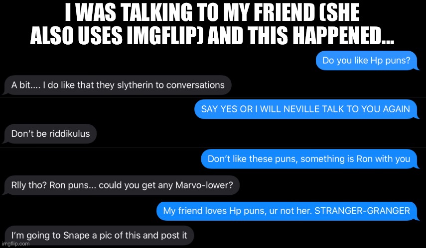 Lol Hp puns | I WAS TALKING TO MY FRIEND (SHE ALSO USES IMGFLIP) AND THIS HAPPENED... | image tagged in harry potter,lol,punny,bad pun,texting | made w/ Imgflip meme maker