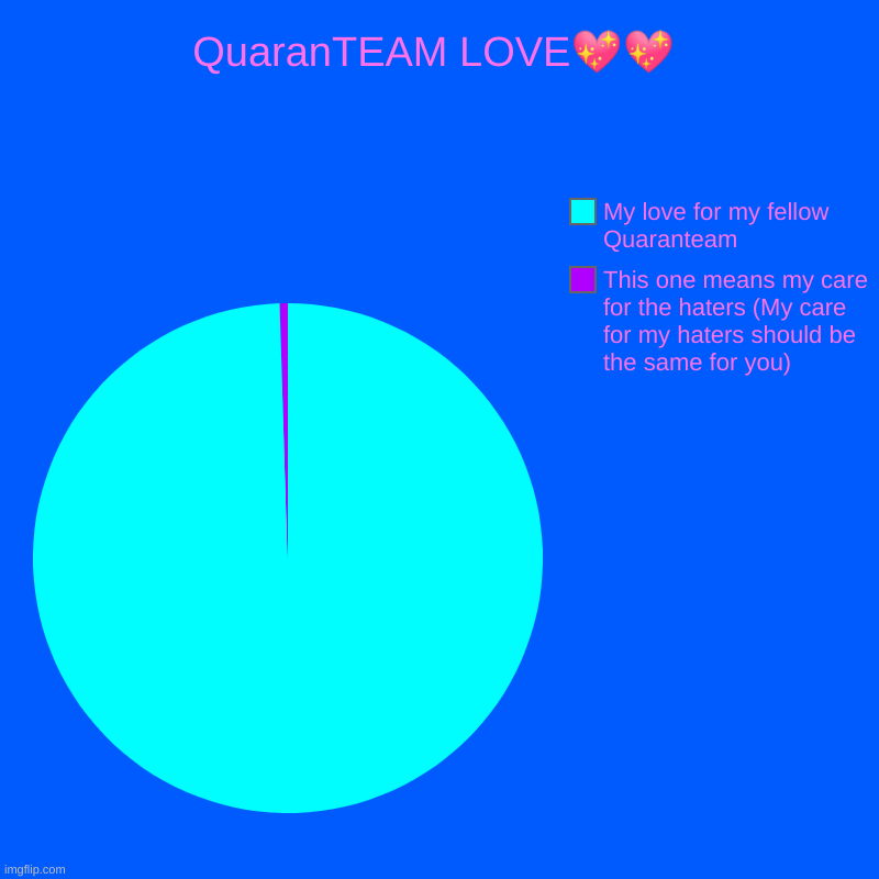 QuaranTEAM LOVE?? | This one means my care for the haters (My care for my haters should be the same for you), My love for my fellow Quarante | image tagged in charts,pie charts,oops,wrong stream | made w/ Imgflip chart maker