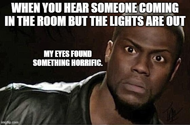 Kevin Hart Meme | WHEN YOU HEAR SOMEONE COMING IN THE ROOM BUT THE LIGHTS ARE OUT; MY EYES FOUND SOMETHING HORRIFIC. | image tagged in memes,kevin hart | made w/ Imgflip meme maker