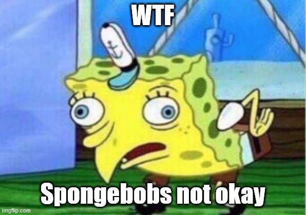 Mocking Spongebob | WTF; Spongebobs not okay | image tagged in memes,mocking spongebob | made w/ Imgflip meme maker