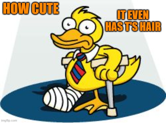 Lame Duck | HOW CUTE IT EVEN HAS T'S HAIR | image tagged in lame duck | made w/ Imgflip meme maker