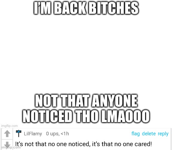 made w/ Imgflip meme maker