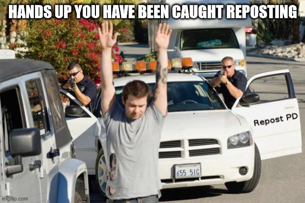 HANDS UP YOU HAVE BEEN CAUGHT REPOSTING | image tagged in repost police | made w/ Imgflip meme maker