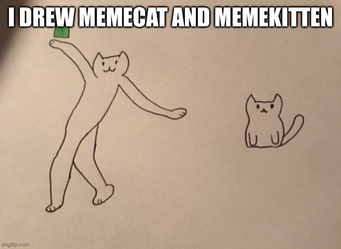 I DREW MEMECAT AND MEMEKITTEN | made w/ Imgflip meme maker