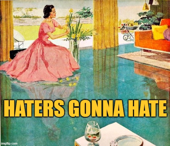 Housewife Haters | HATERS GONNA HATE | image tagged in 50s housewife,haters gonna hate,funny memes,vintage,stay at home,so true memes | made w/ Imgflip meme maker