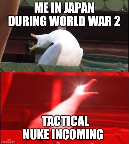 screaming seagull | ME IN JAPAN DURING WORLD WAR 2; TACTICAL NUKE INCOMING | image tagged in screaming seagull | made w/ Imgflip meme maker