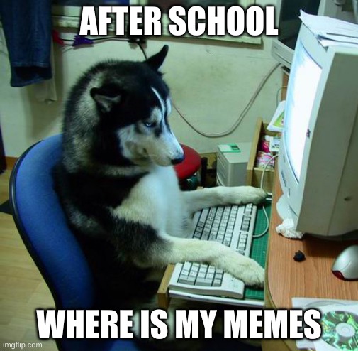 I Have No Idea What I Am Doing | AFTER SCHOOL; WHERE IS MY MEMES | image tagged in memes,i have no idea what i am doing | made w/ Imgflip meme maker