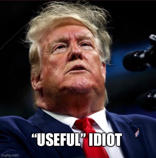 useful idiot | “USEFUL” IDIOT | image tagged in trump the useful idiot,donald trump,trump is a moron,useful idiot,donald trump the clown,vote blue 2020 | made w/ Imgflip meme maker
