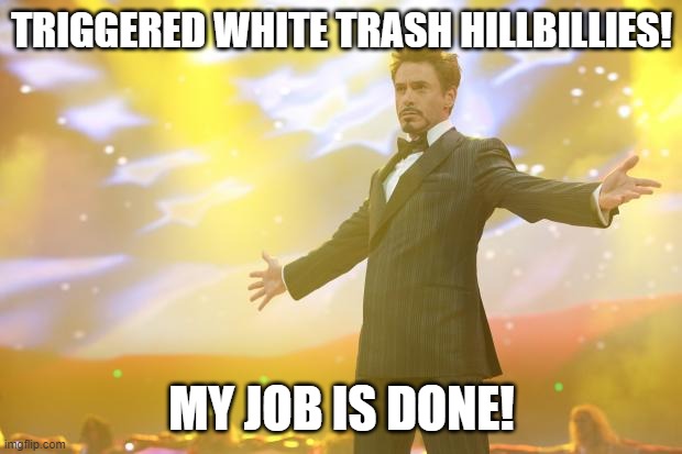 Tony Stark success | TRIGGERED WHITE TRASH HILLBILLIES! MY JOB IS DONE! | image tagged in tony stark success | made w/ Imgflip meme maker