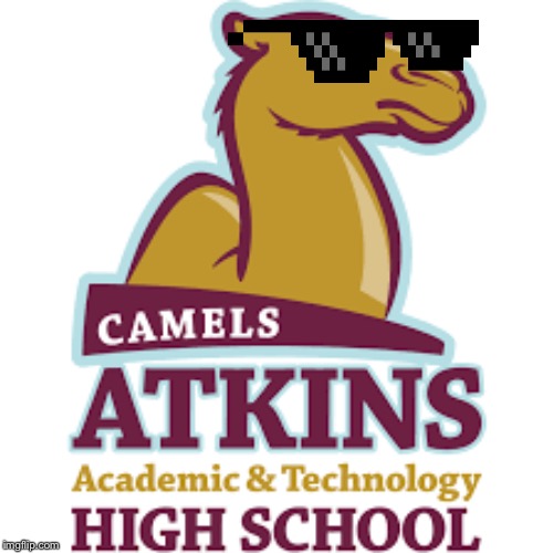 The Atkins Camel only Hangs with Joe Camel Blank Meme Template
