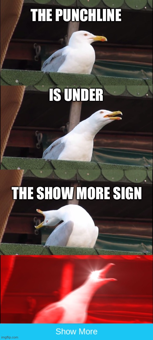 Inhaling Seagull | THE PUNCHLINE; IS UNDER; THE SHOW MORE SIGN | image tagged in memes,inhaling seagull | made w/ Imgflip meme maker