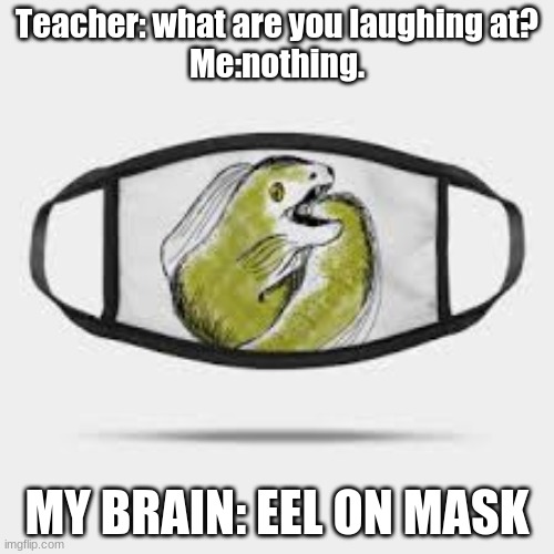 Teacher: what are you laughing at?
Me:nothing. MY BRAIN: EEL ON MASK | image tagged in funny meme | made w/ Imgflip meme maker