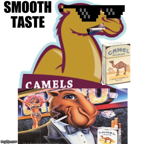 RJR Tobacco should use this ad | SMOOTH TASTE | image tagged in the atkins camel only hangs with joe camel | made w/ Imgflip meme maker