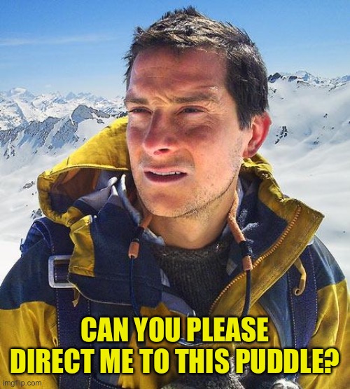 Bear Grylls Meme | CAN YOU PLEASE DIRECT ME TO THIS PUDDLE? | image tagged in memes,bear grylls | made w/ Imgflip meme maker