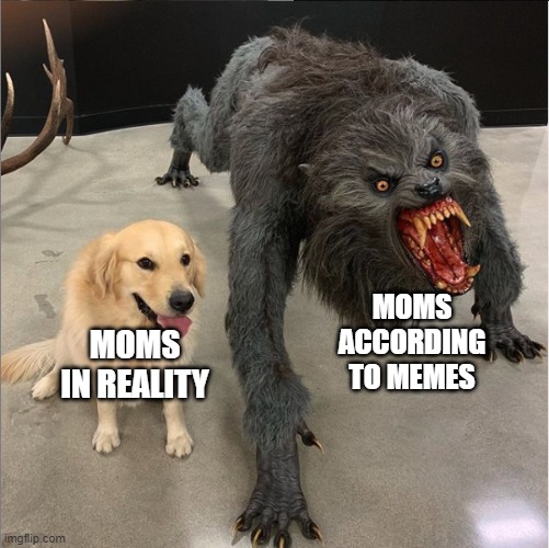 moms in reality vs moms according to memes | MOMS ACCORDING TO MEMES; MOMS IN REALITY | image tagged in dog vs werewolf,mom,moms | made w/ Imgflip meme maker