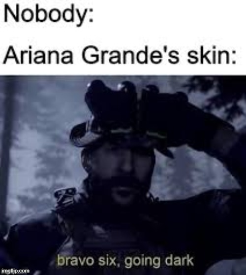 ariana grande's skin | image tagged in bravo six going dark | made w/ Imgflip meme maker