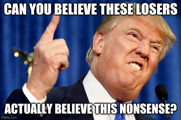 Donald Trump | CAN YOU BELIEVE THESE LOSERS ACTUALLY BELIEVE THIS NONSENSE? | image tagged in donald trump | made w/ Imgflip meme maker