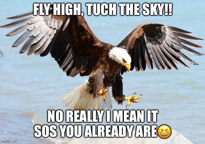 FLY HIGH, TUCH THE SKY!! NO REALLY I MEAN IT
SOS YOU ALREADY ARE😆 | image tagged in funny | made w/ Imgflip meme maker