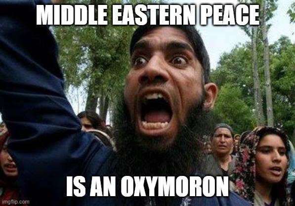 Middle Eastern Peace Is an Oxymoron | MIDDLE EASTERN PEACE; IS AN OXYMORON | image tagged in angry muslim | made w/ Imgflip meme maker