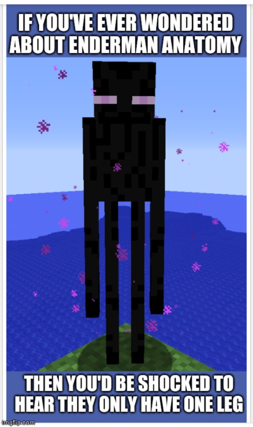 Enderman Secrets | image tagged in funny memes,minecraft,funny | made w/ Imgflip meme maker