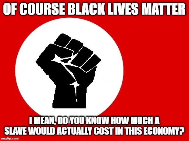 Expensive | OF COURSE BLACK LIVES MATTER; I MEAN, DO YOU KNOW HOW MUCH A SLAVE WOULD ACTUALLY COST IN THIS ECONOMY? | image tagged in black lives matter | made w/ Imgflip meme maker